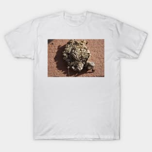 Wasp Nest T-Shirt